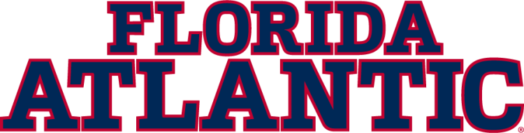 Florida Atlantic Owls 2024-Pres Wordmark Logo v2 diy iron on heat transfer